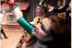 p2259614_jpg__narrenball_samstag__x17x