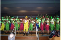 p2259711_jpg__narrenballsamstag__x29x