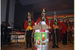 p2259711_jpg__narrenballsamstag__x63x