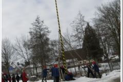 rimg0781