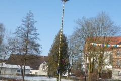 p2124808